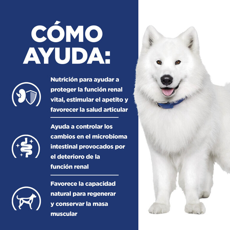 Hill's Prescription Diet kidney + Mobility pienso para perros, , large image number null